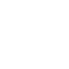 Fraud Risk Management