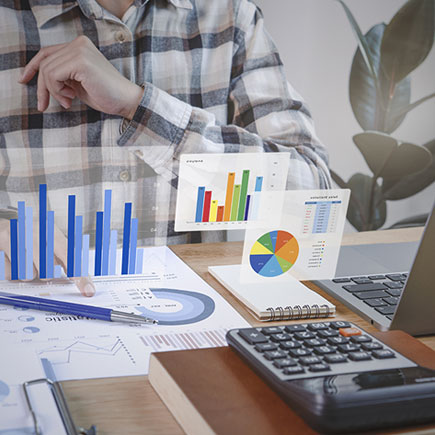 Internal Control Framework / IFC / ICFR