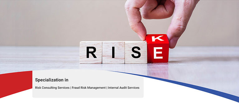 Discern Risk - Risk Consulting Services